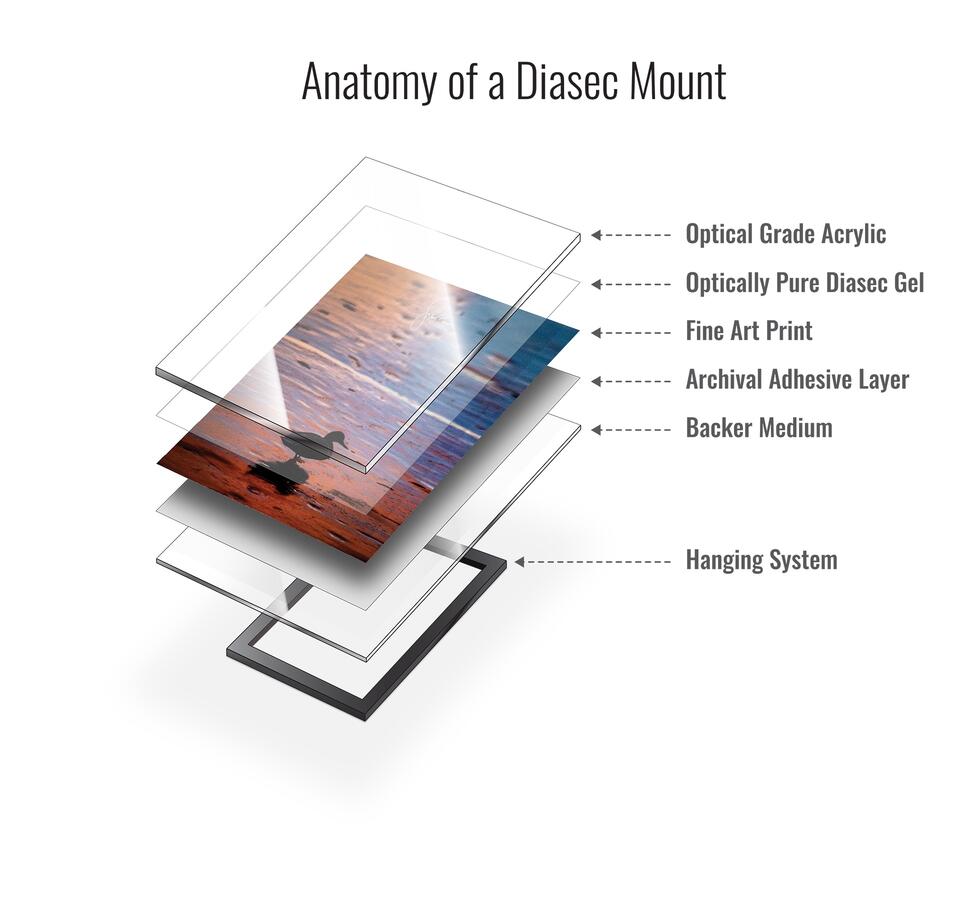 DIAMOND // TRUELIFE DIASEC FACEMOUNT ACRYLIC